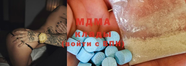 прущие грибы Абаза