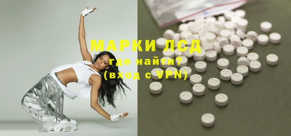 прущие грибы Абаза