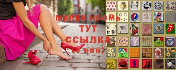 прущие грибы Абаза