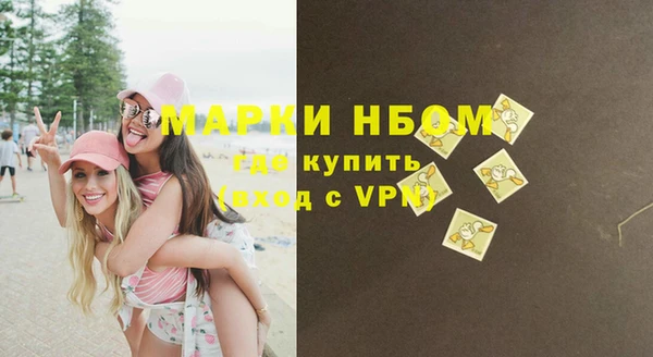 прущие грибы Абаза