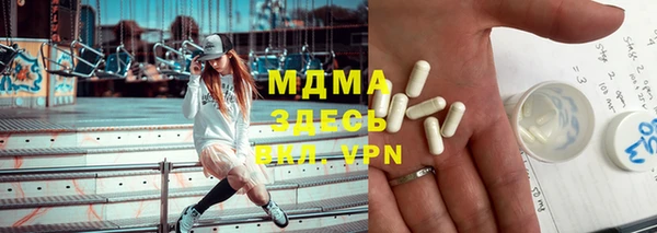 прущие грибы Абаза